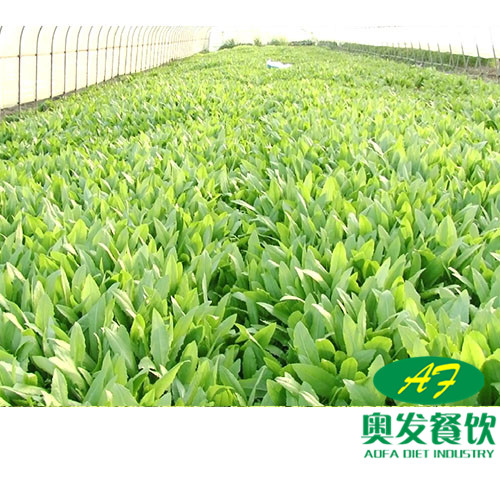 武漢蔬菜配送時(shí)要注意什么？